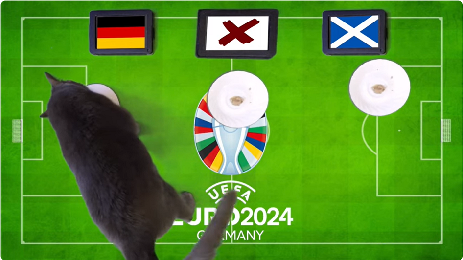Mèo tiên tri Cass dự đoán Đức sẽ đánh bại Scotland trong trận mở màn EURO 2024