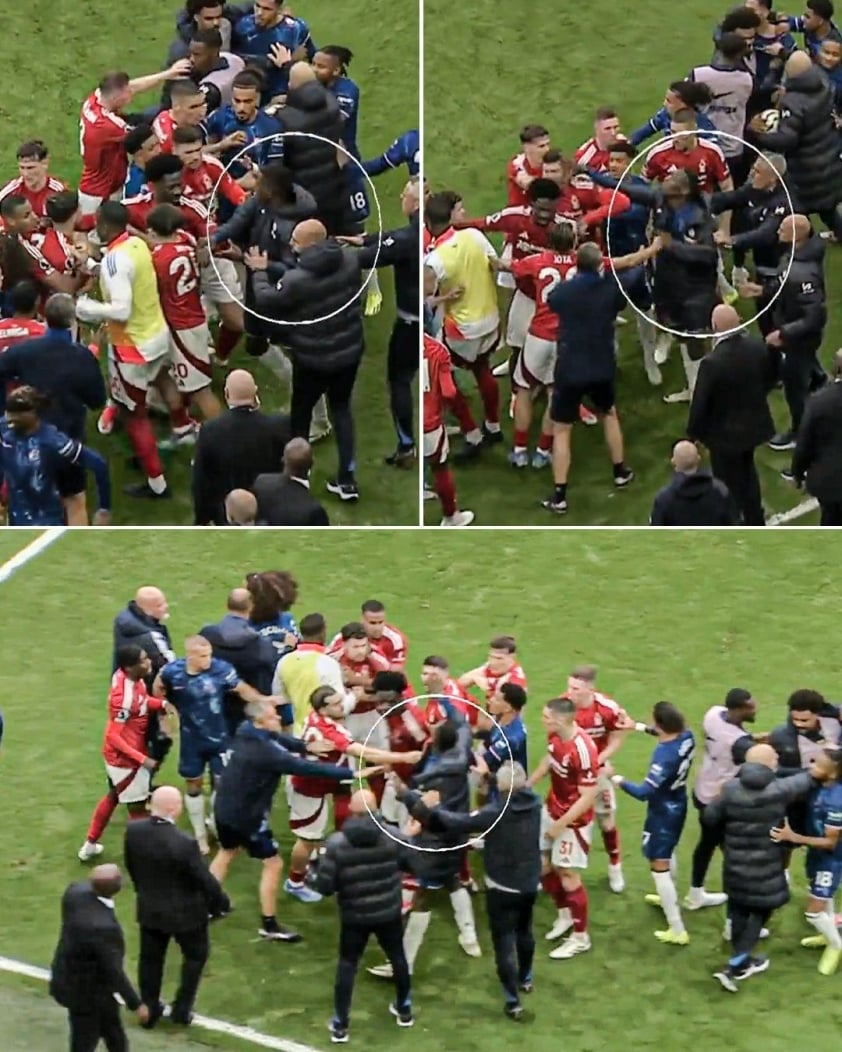Chelsea và Nottingham Forest thoát án phạt cá nhân trong vụ xô xát tập thể