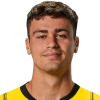 Trận Dortmund và Bayern Munich - Cuộc rượt đuổi điểm số ly kỳ đến những phút cuối
