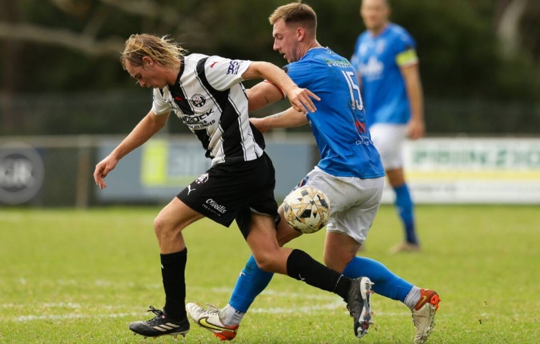 Weston Bears vs New Lambton: Dự đoán chiến thắng dễ dàng cho chủ nhà