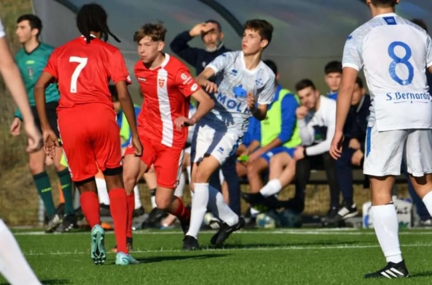 Nhận định Monza vs AlbinoLeffe: Đại diện Serie A hứa hẹn thắng lợi