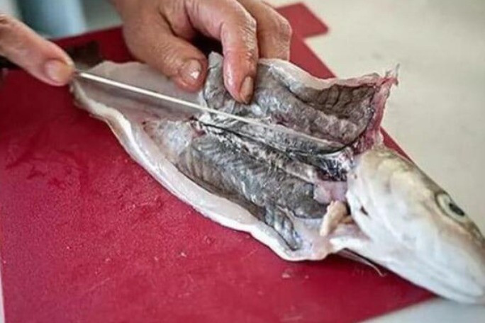 Hình ảnh lớp màng đen trong bụng cá