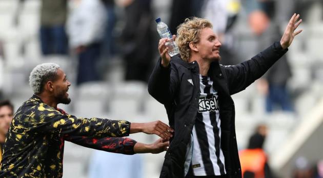 Nick Woltemade sớm được yêu mến ở Newcastle.