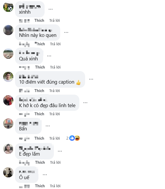 Fan nam lên tiếng bảo vệ Trần Hà Linh