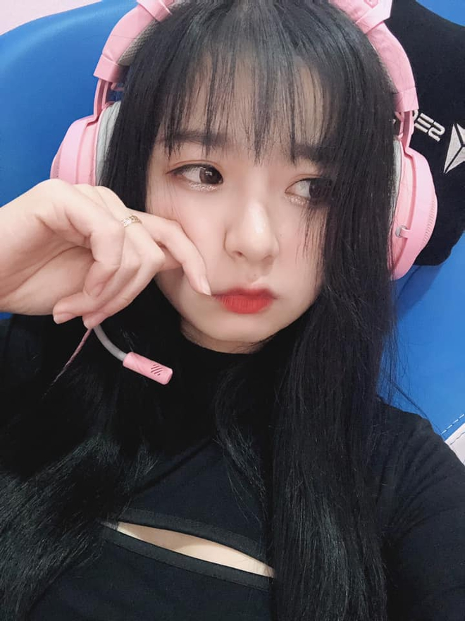 Mèo 2k4 trong các buổi livestream