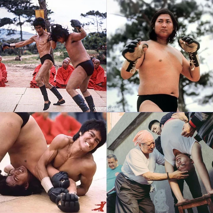 Hồng Kim Bảo tham gia phim Long Tranh Hổ Đấu Hồng Kim Bảo tham gia phim Long Tranh Hổ Đấu