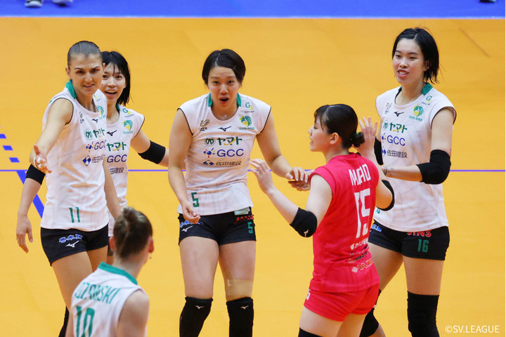 Thanh Thúy ghi dấu ấn giúp đội bóng chuyền Nhật Bản thắng liên tiếp- Ảnh 1. Trần Thị Thanh Thúy cùng CLB Gunma Green Wings giành chiến thắng