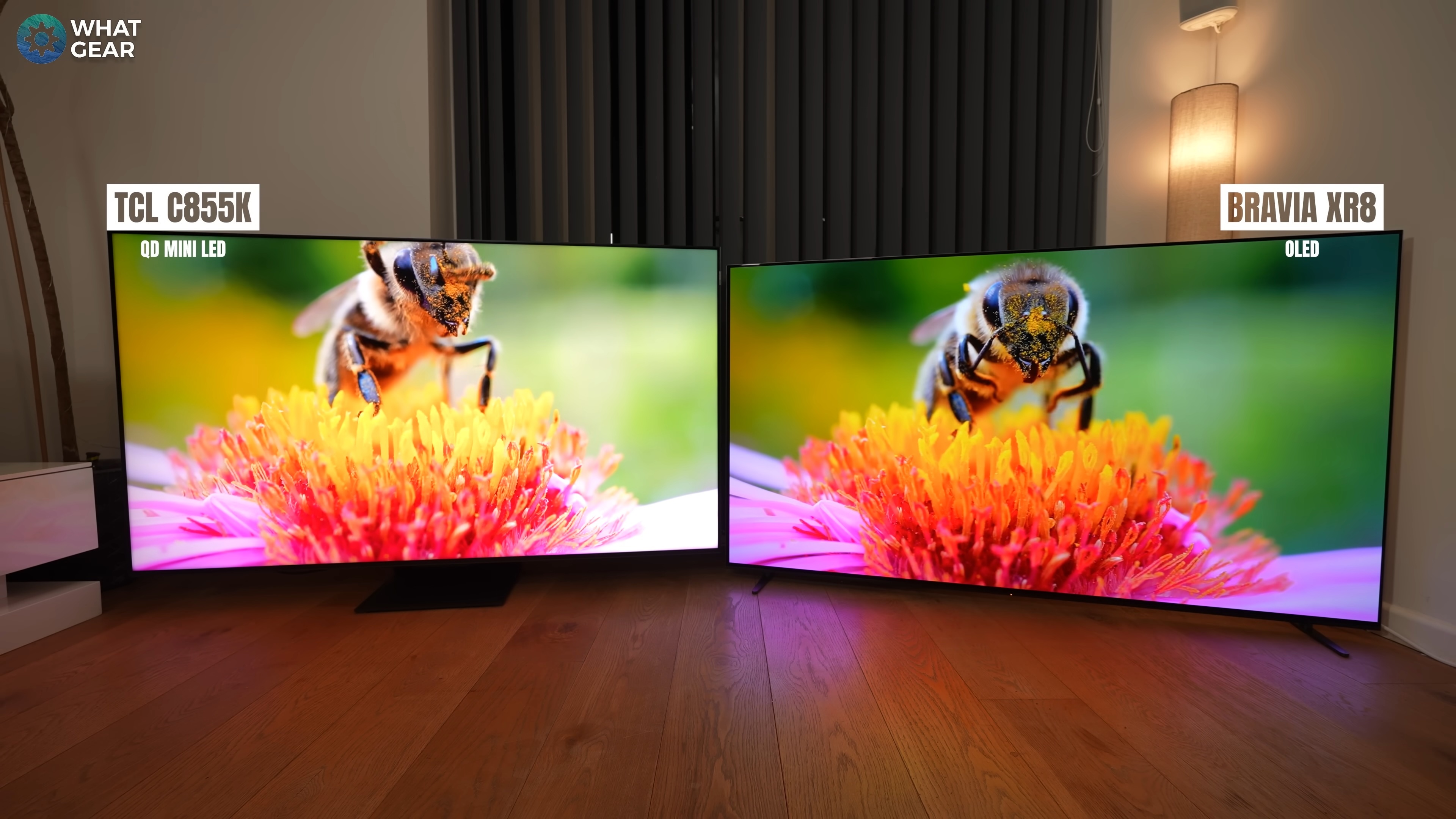 Sony hop tac TCL, doanh so TV Sony, gia ban TV Sony, mua TV TCL, lien doanh Sony TCL anh 2