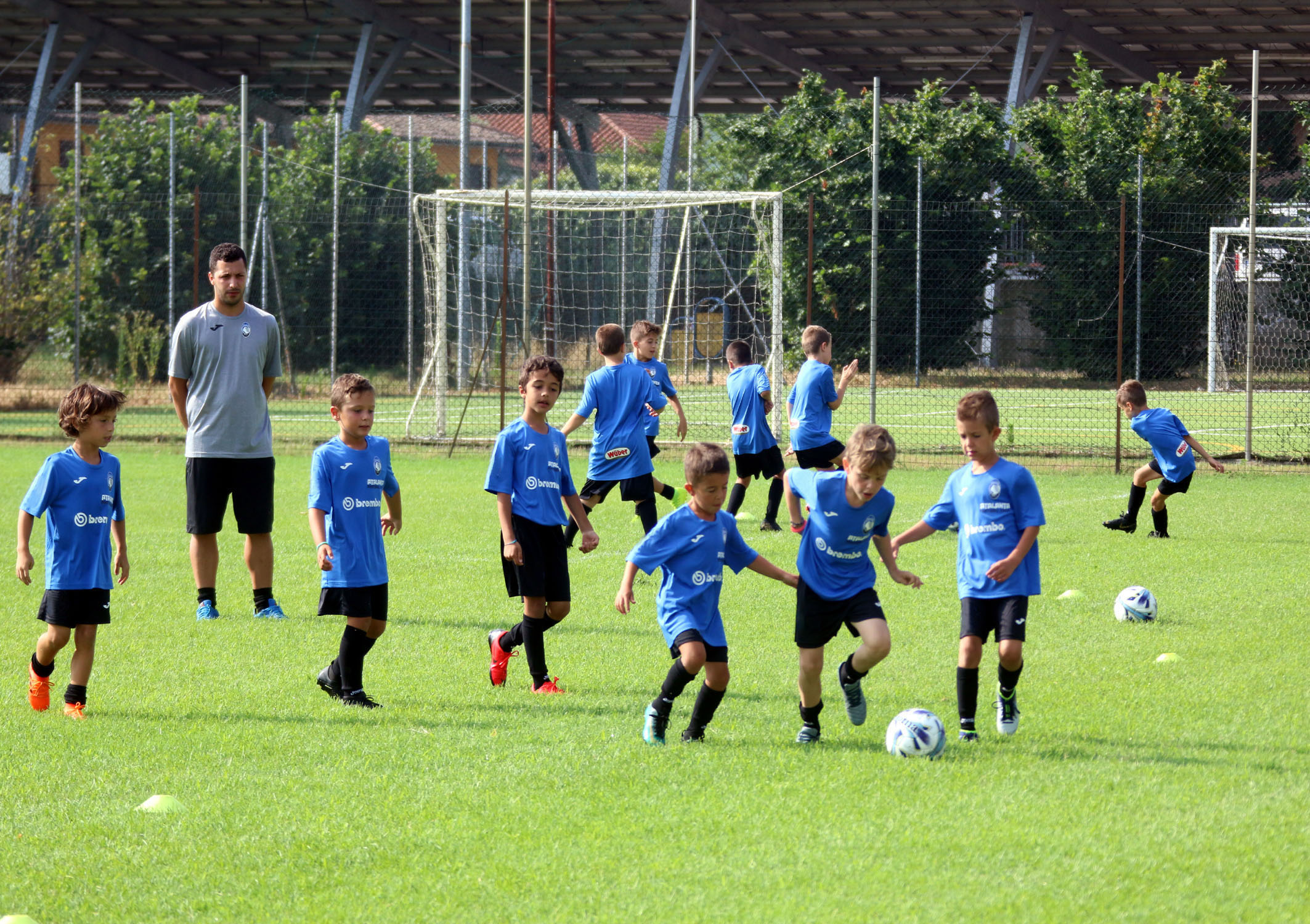 Lò đào tạo Zingonia