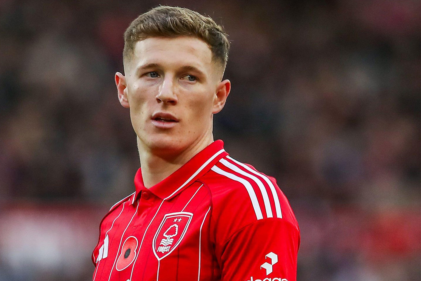 Elliot Anderson nổi bật tại Ngoại hạng Anh