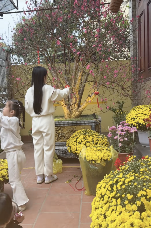 Không khí Tết đầy sắc hoa nhà Quang Hải Không khí Tết đầy sắc hoa nhà Quang Hải