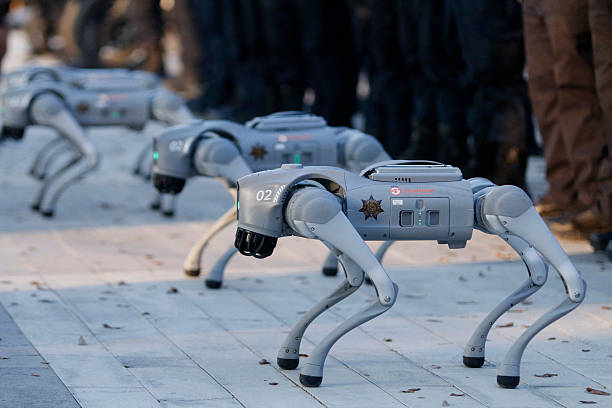 Các chú chó Robot làm nhiệm vụ an ninh World Cup