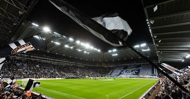 Newcastle muốn nâng cấp St James' Park.