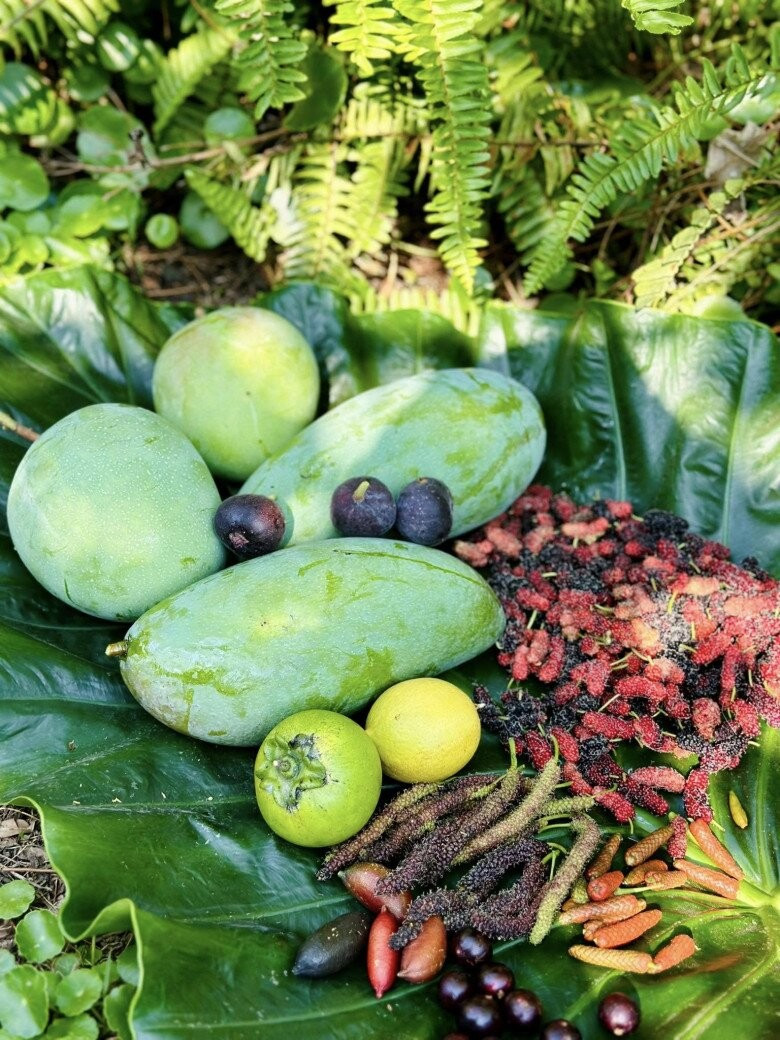 Hoa trái trong khu vườn nhà ca sĩ Mỹ Lệ Các loại trái cây thơm ngon trong vườn của Việt kiều Đức