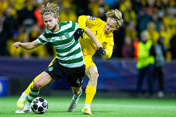 Sporting chuẩn bị tái đấu Bodo/Glimt trên sân nhà. Sporting CP sẵn sàng cho trận tái đấu