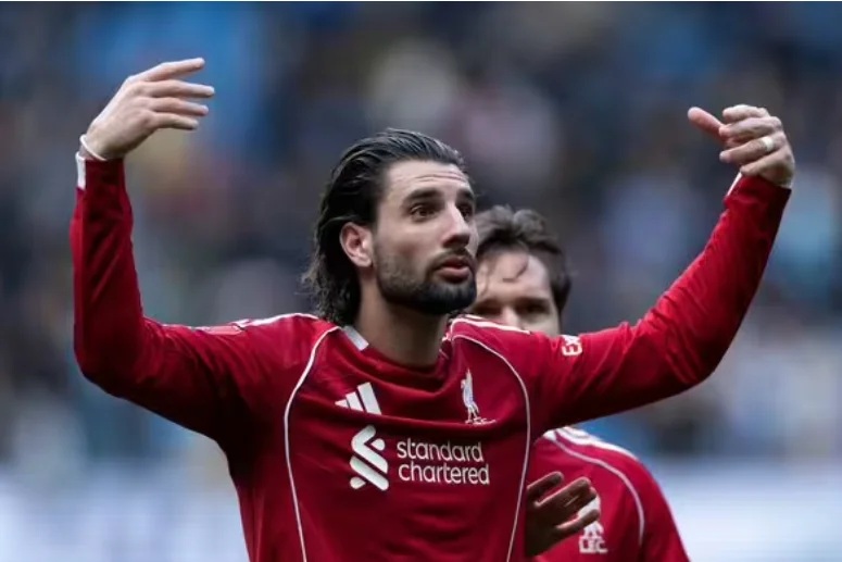 Liverpool vừa bị loại khỏi FA Cup. Liverpool bị loại khỏi FA Cup