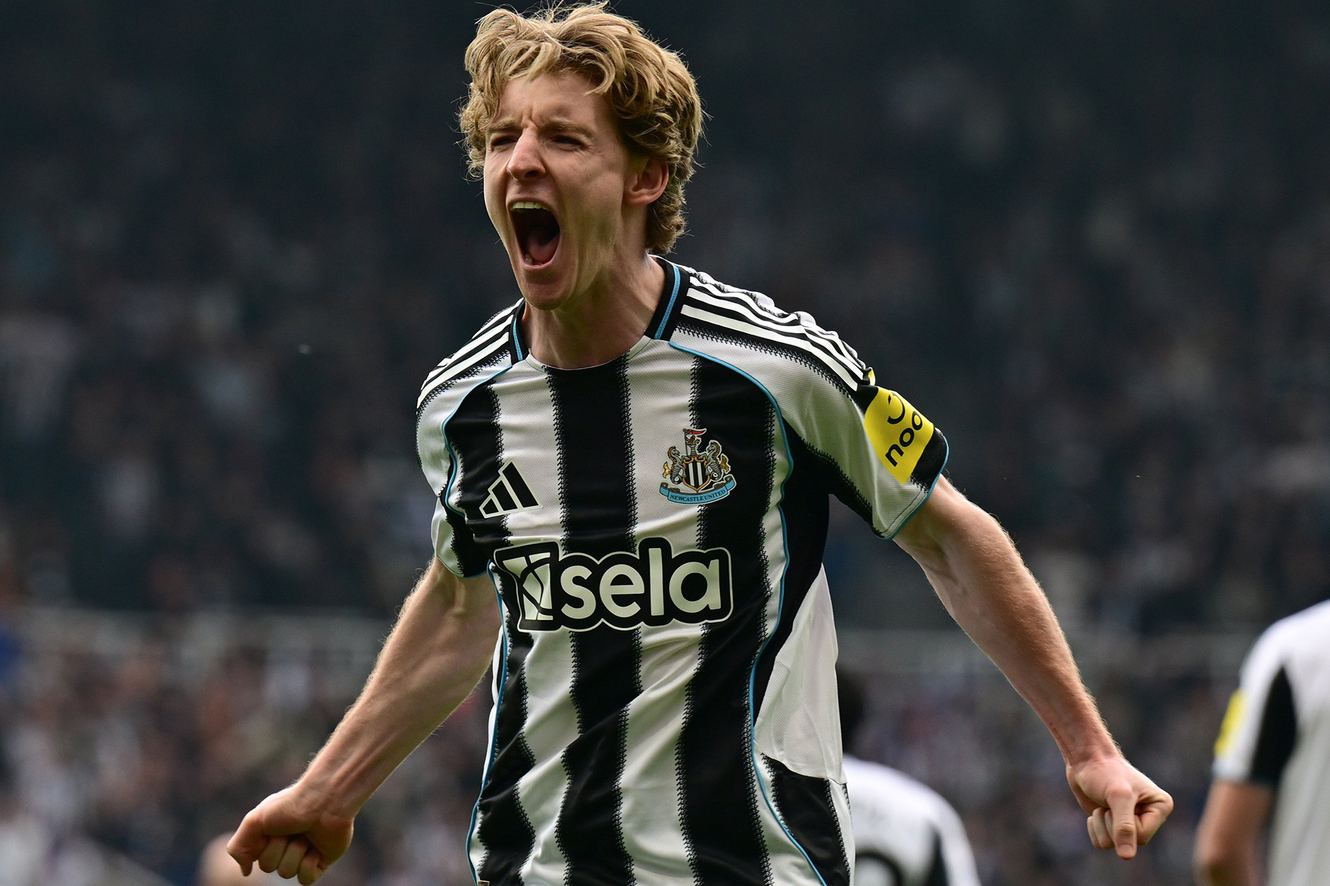 Anthony Gordon đang thi đấu cho Newcastle