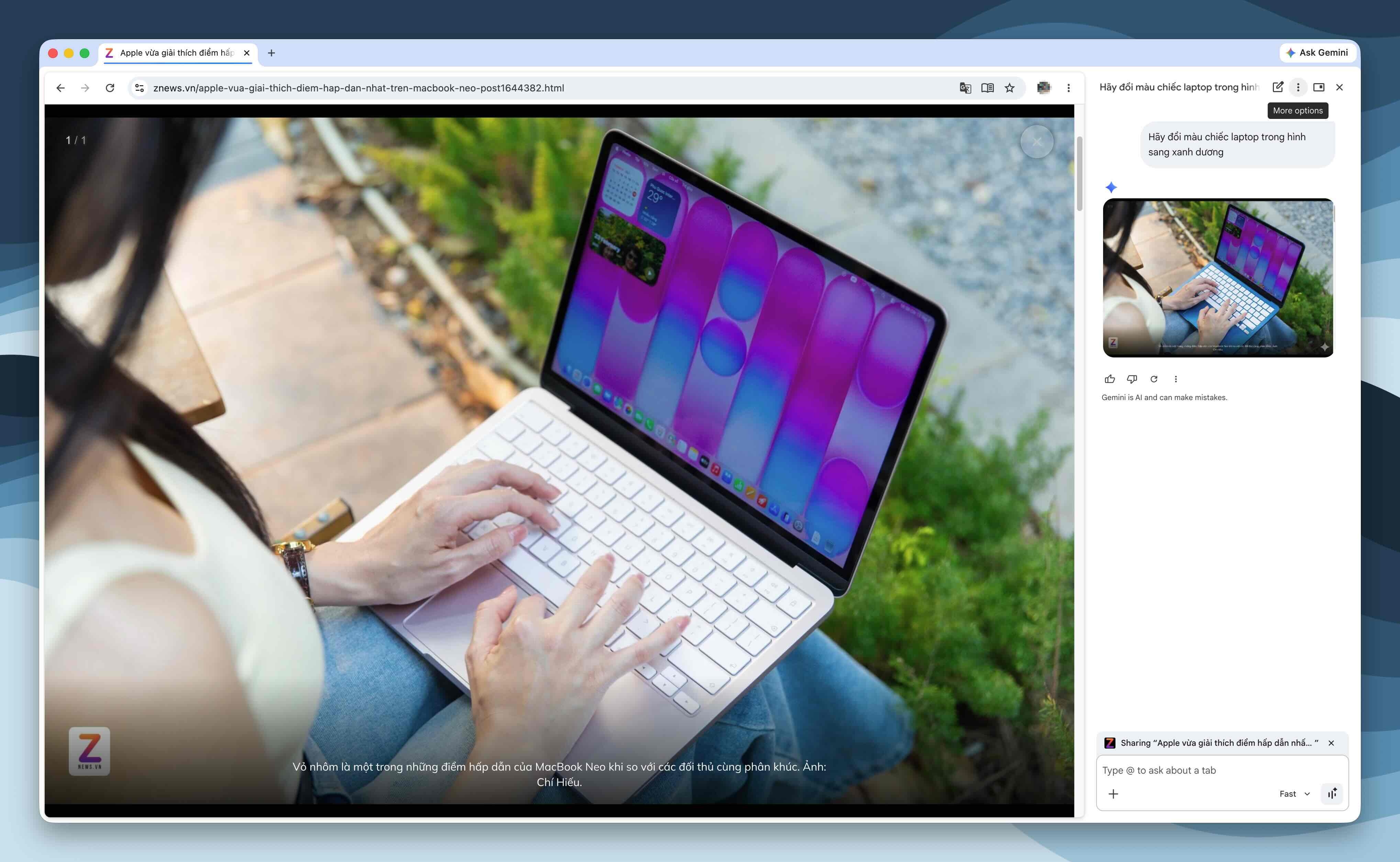 trinh duyet Google Chrome, AI tren Google Chrome, trai nghiem Gemini, Gemini la gi, Google Gemini Pro anh 5