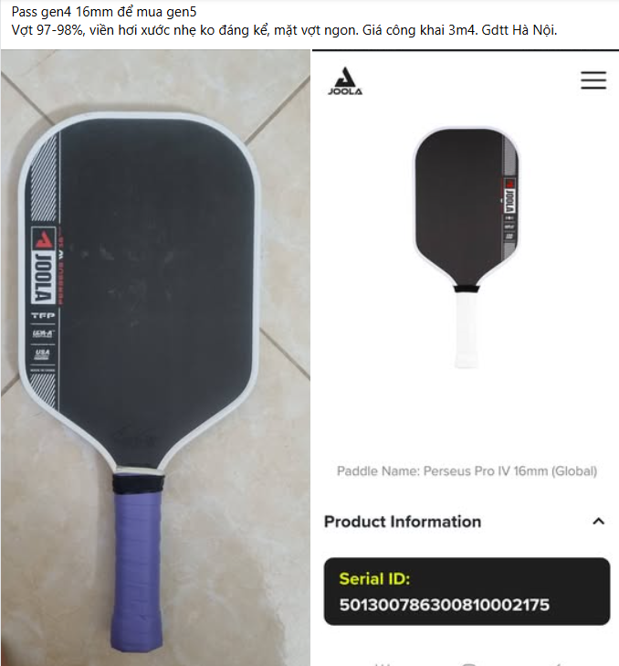 vợt pickleball