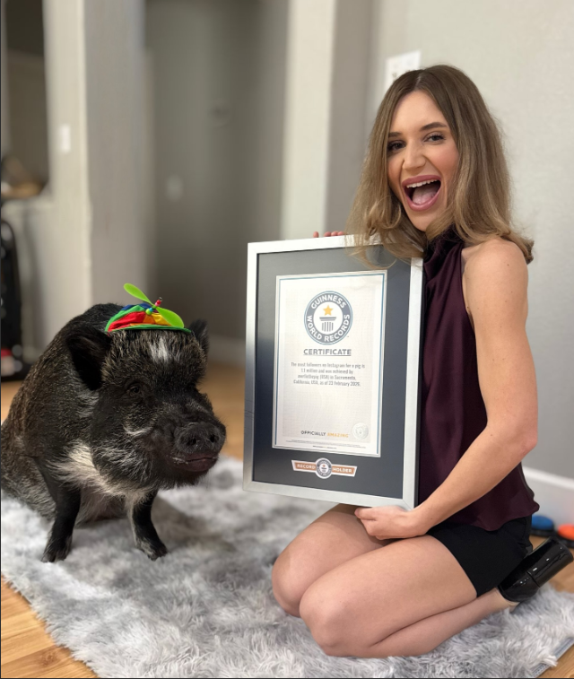 Một chú lợn vừa lập kỷ lục Guiness thế giới, lượng follow bá đạo, gây sốc cộng đồng mạng- Ảnh 3.