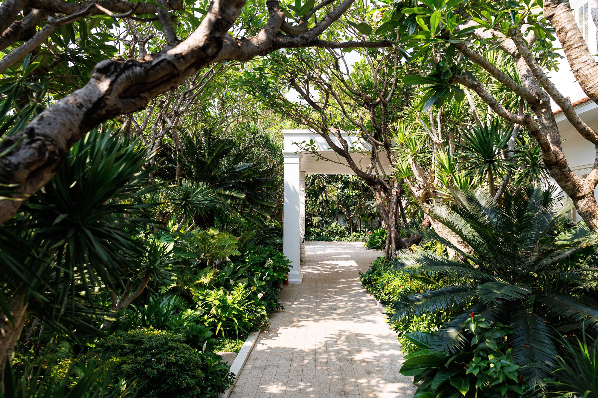 Các tác phẩm hội họa được trưng bày tinh tế trong không gian gia đình