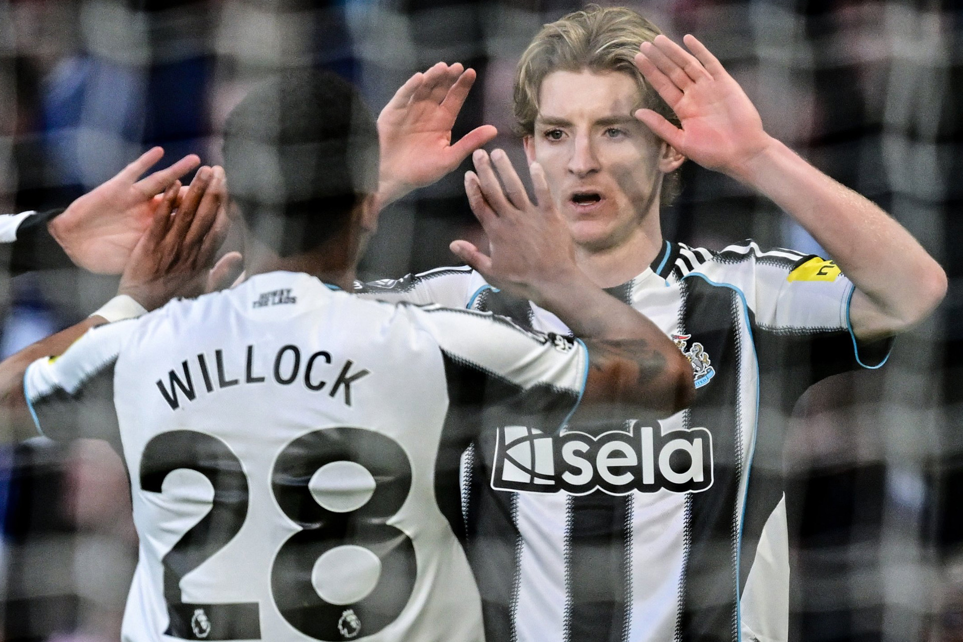Anthony Gordon thi đấu cho Newcastle