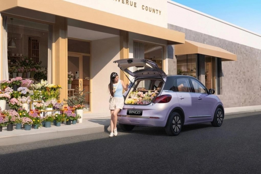 Wuling Bingo 2026 (2)
