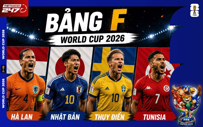 Nhận định bảng F World Cup 2026